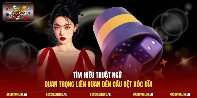 Tìm hiểu thuật ngữ quan trọng liên quan đến cầu bệt xóc đĩa